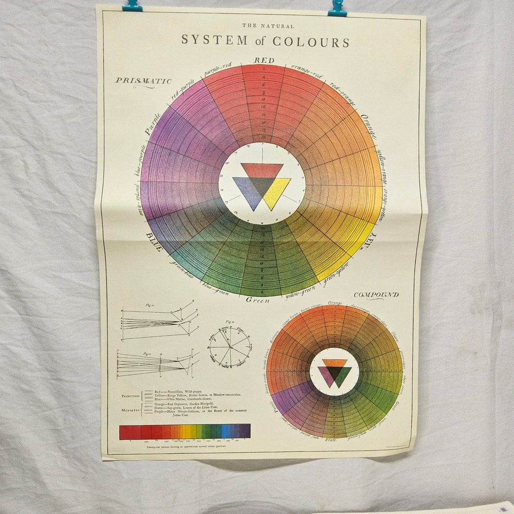 Cavallini Papers & Co. Wall Poster 20x28 Cream Natural System of Colours Wrap